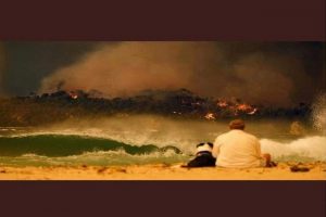 David Warner shares emotional message on bushfires