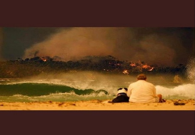 David Warner shares emotional message on bushfires