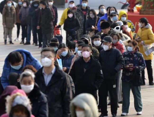 Dog face masks in China -