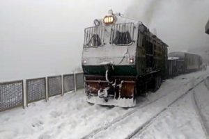 Season’s heaviest snowfall turns Shimla into white paradise