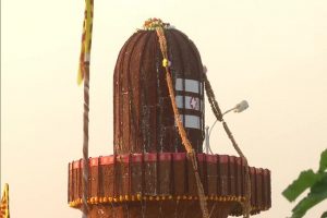 25 feet tall ‘shivling’ decorated with pigeon peas on Maha Shivaratri in K’taka