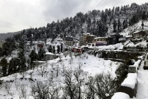 Himachal Pradesh: View of the thick blanket of white snow covered the area after a snowfall