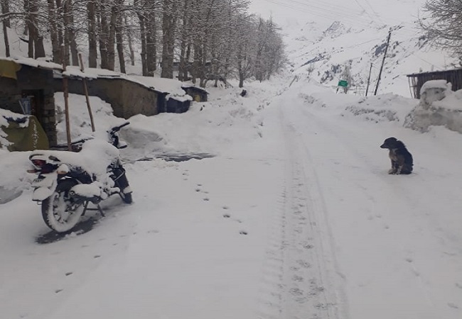 Himachal snowfall -