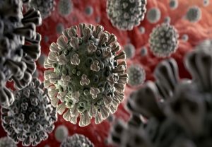 Coronavirus has a natural origin, says study