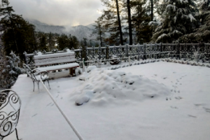 IN PICs: Fresh snowfall in Kinnaur district of Himachal