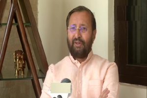 India has strong fundamentals, can attract investments in post-COVID-19 period: Javadekar