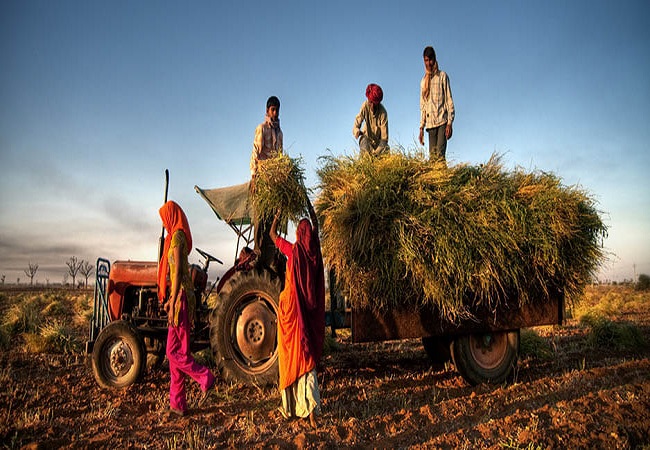 FM Sitharaman announces Rs 1 lakh cr for Agriculture Infra, Rs 20,000 Cr aid for fishermen