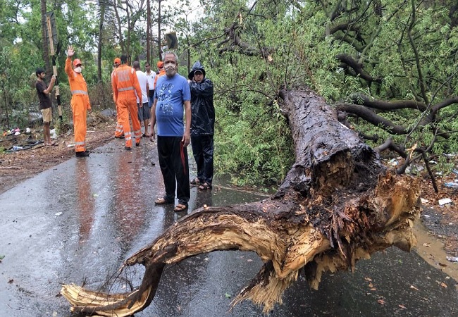 Cyclone NISARGA: Snaps trees, electricity poles, flights suspended in Mumbai | LIVE UPDATES