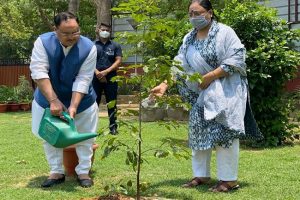 See how leaders celebrated World Environment Day