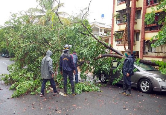 Cyclone leaves trees uprooted, vehicles damaged in Mumbai (PICs)