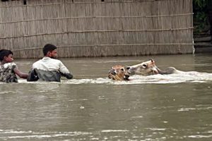 Over one million people affected in Bihar floods, 7 killed