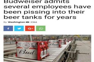 Fact Check: Did Budweiser employee urinate in beer tank for 12 years? Here’s the truth