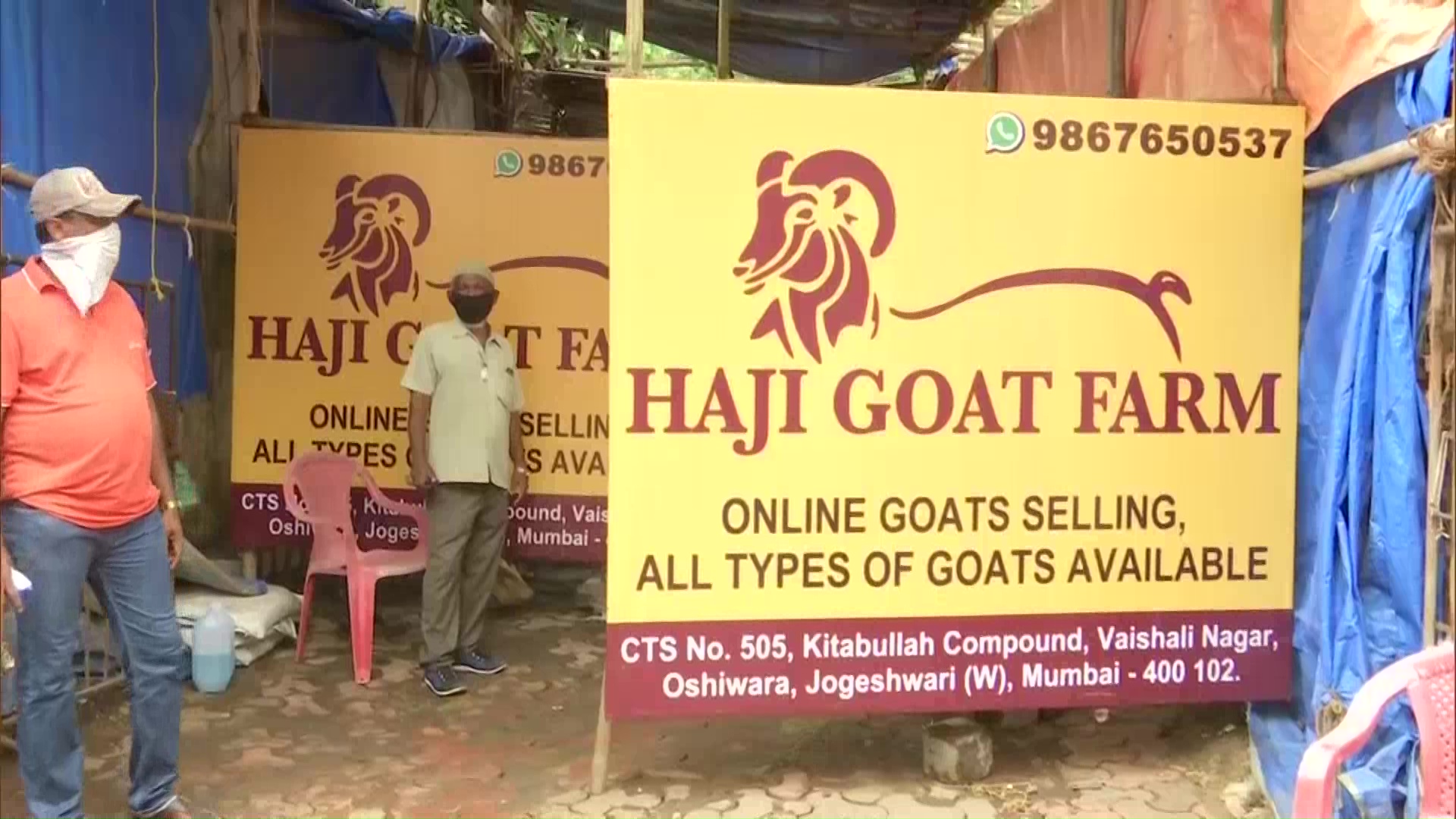 Goats sold online for Eid ul-Adha in Mumbai