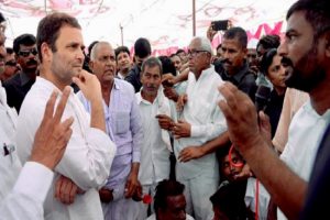 Rahul Gandhi to join protesting farmers in Punjab and Haryana, series of roadshow from Oct 2