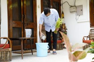 Delhi CM Kejriwal kickstarts anti-dengue campaign, cleans stagnant water at home (Video)