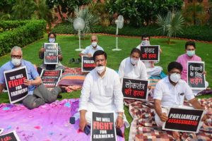 8 suspended Rajya Sabha MPs sit on indefinite dharna, refuse to leave