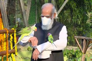 PM Modi inaugurates Jungle Safari project in Gujarat’s Kevadia (VIDEO)