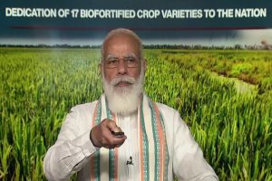 World Food Day: New farm laws to boost farmers’ income, says PM Modi | TOP POINTS