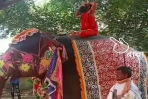 Baba Ramdev falls off elephant while doing Yoga, escapes unhurt (VIDEO)