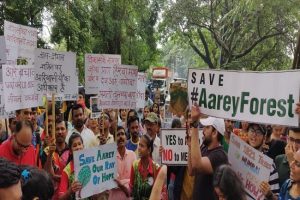 Maha govt withdraws cases registered against Aarey protesters, Metro car shed to be shifted