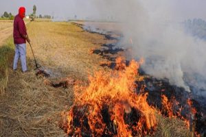 Punjab School Education Department intensifies campaign to make farmers aware about harmful effects of paddy straw burning