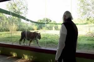 PM Modi inaugurates Jungle Safari in Gujarat’s Kevadia | See Pics