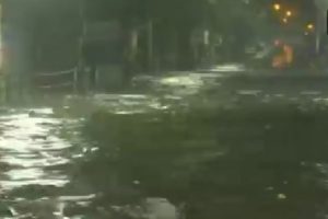 Mumbai Rains: Water logging in parts of the State, IMD issues red alert for today