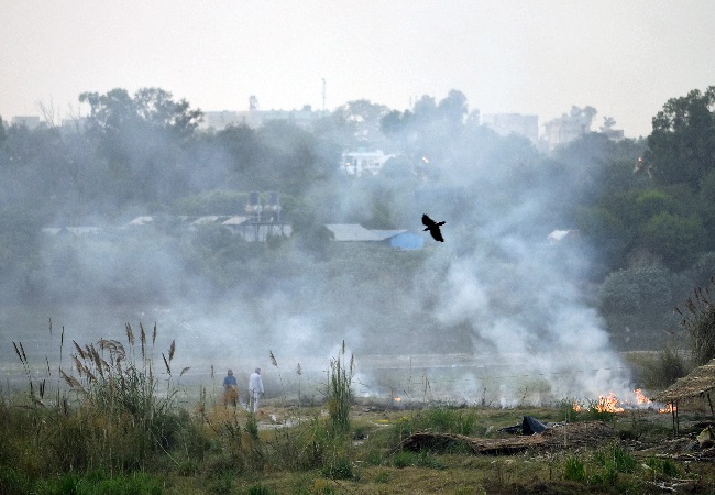 Delhi Pollution: Air quality in ‘poor’ category, says Central Pollution Control Board