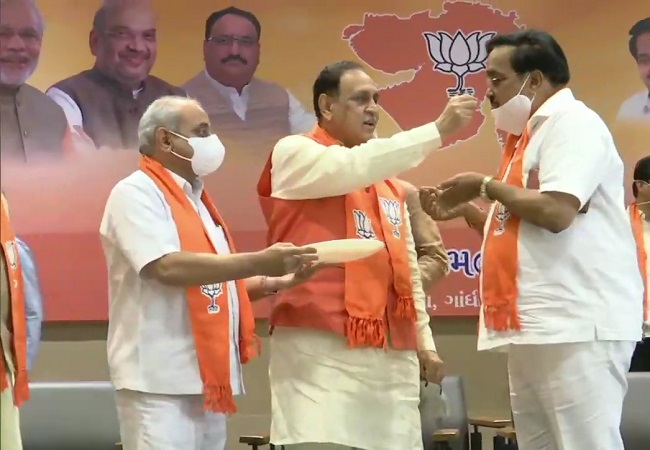 Gujarat by-polls: BJP set to snatch 7 seats, BJP leaders celebrate (PICs)