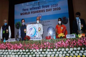 World Fisheries Day: Uttar Pradesh adjudged best performing state in inland fisheries