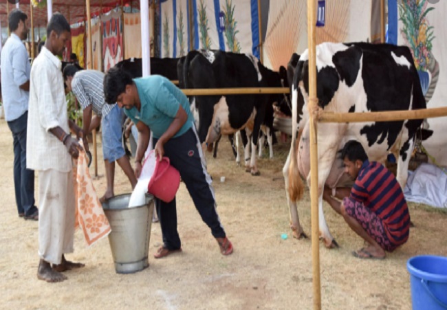 Year Ender 2020: A look at Centre's schemes to give fillip to Animal  Husbandry, empower dairy farmers
