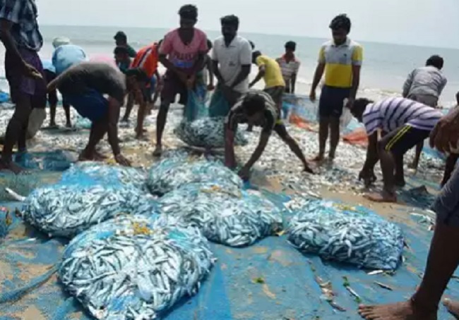 Year Ender 2020: PMMSY proves to be boon for fishermen, 9.40 lakh job opportunities likely under FIDF