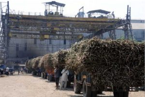 UP to produce ‘healthy’ sulphur-free sugar as CM Yogi inaugurates 2 plants in Basti, Gorakhpur tomorrow