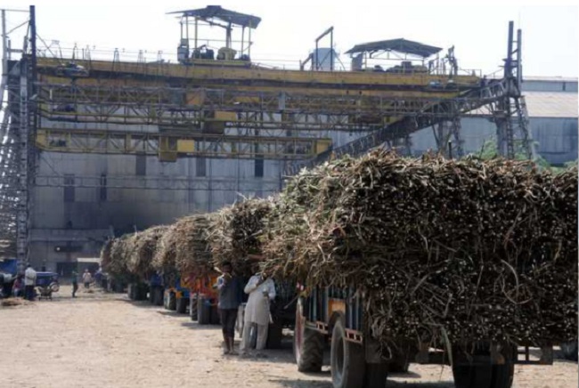 UP to produce ‘healthy’ sulphur-free sugar as CM Yogi inaugurates 2 plants in Basti, Gorakhpur tomorrow