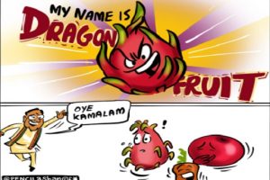 Dragon Fruit renamed ‘Kamalam’ in Gujarat; jokes & memes flood Twitter