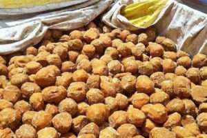 Good News: Two-day jaggery festival to be organised in Lucknow for 1st time