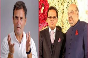 Meritocracy BJP style: Rahul Gandhi on Jay Shah taking over as ACC President
