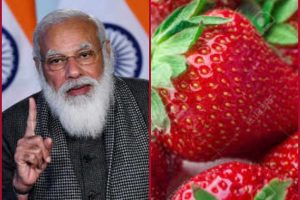Mann Ki Baat: PM Modi praises unique Strawberry Festival in UP’s Bundelkhand region