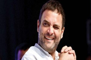Delhi Congress passes resolution to make Rahul Gandhi party chief with immediate effect