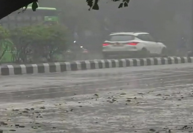 Heavy rain, hailstorm lash parts of Delhi-NCR