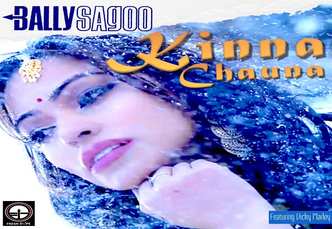 Actress Devshi Khanduri faints during shooting of 'Kinna Chauna' music video