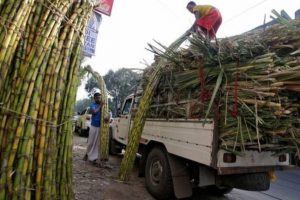 UP cabinet approves ethanol production from sugarcane juice, both farmers & sugar mills to benefit