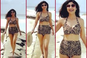 “Shut up and bounce”:Shilpa Shetty looks like ‘hot hunter’ in leopard-print bikini; See Pics