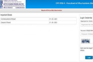 IBPS Clerk main result 2021 declared: Here’s the direct link