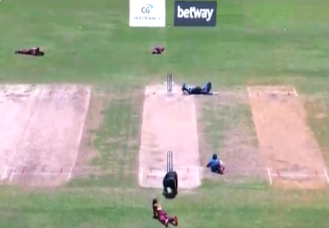 West Indies Vs Sri Lanka: Bee attack halts ODI match, cricketers lie down on ground, VIDEO amuses fans
