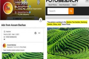 Congress’ Assam campaign blunder: Party using tea garden pic from Taiwan, claims BJP