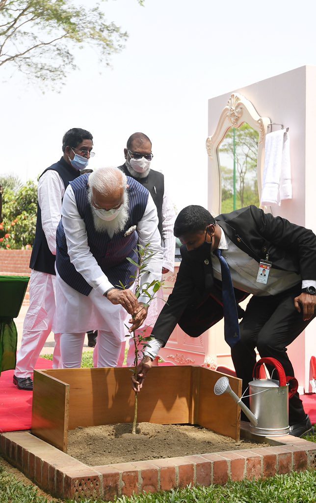 At Savar, PM Modi planted an Arjuna Tree sapling. This sapling has been planted as a mark of respect for the valorous martyrs of Bangladesh.
