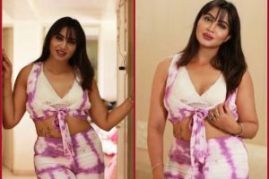 Bigg Boss fame Arshi Khan exposes her Bralette, says ‘Do Whatever Makes You Happiest’