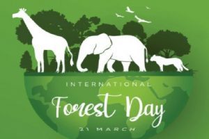 International Day of Forests  2021 Theme- Here is how Twitterati reacted
