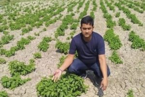 Bihar farmer grows ‘hop shoots’ worth Rs 85,000 per kg- He explains